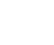 Evolution games at Bingo Com Casino